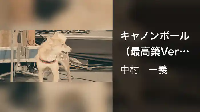 キャノンボール（最高築Ver.）