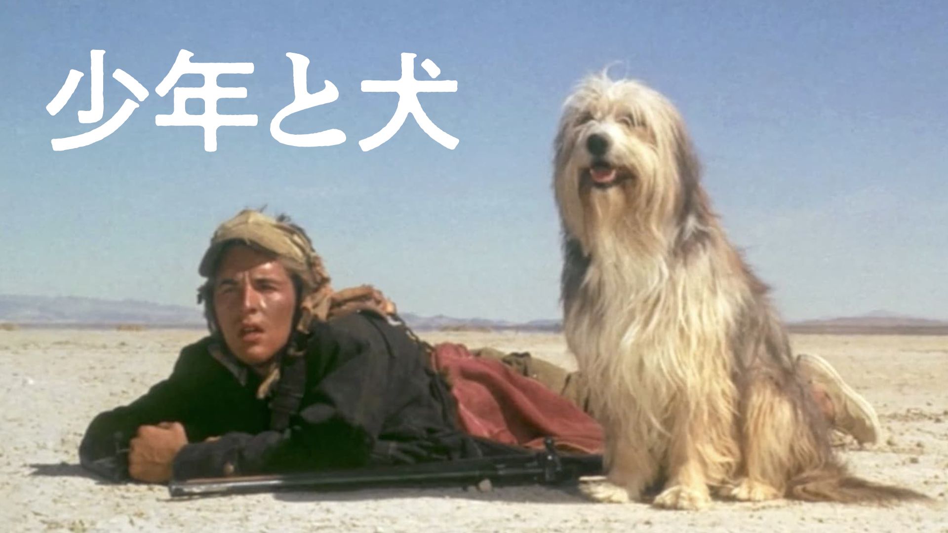 少年と犬