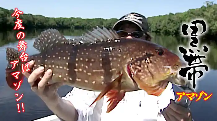 黒帯アマゾン 今度の舞台はアマゾン！！