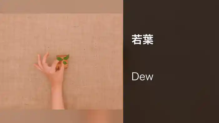 若葉
