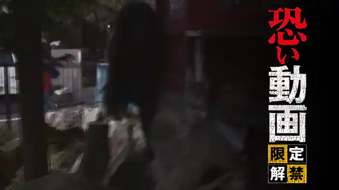 恐い動画　限定解禁