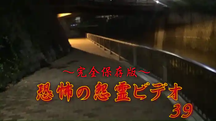 ～完全保存版～恐怖の怨霊ビデオ39