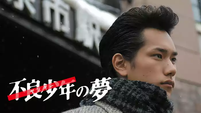 不良少年＜ヤンキー＞の夢