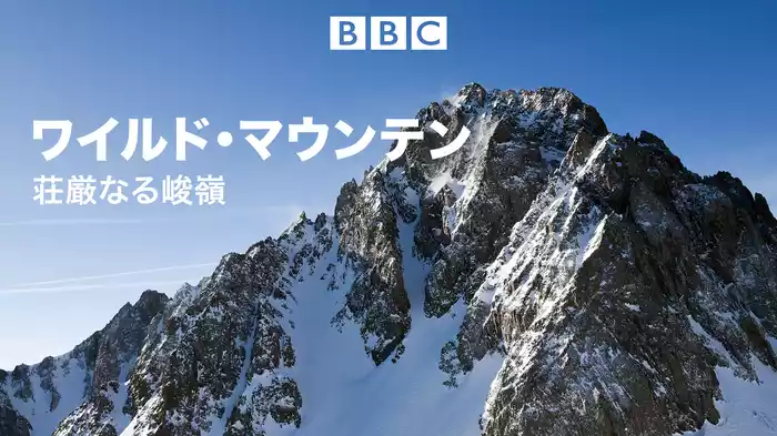 ワイルド・マウンテン 荘厳なる峻嶺