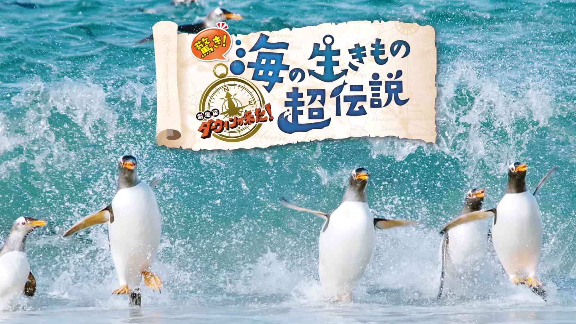 劇場版ダーウィンが来た 驚き！海の生きもの超伝説