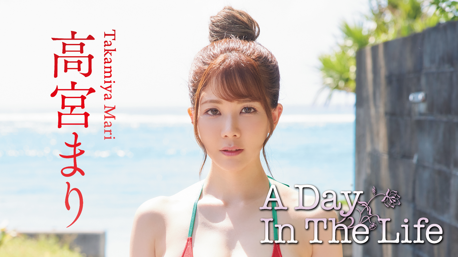 高宮まり『A Day In The Life』(その他♡ / 2022) - 動画配信 | U-NEXT 31日間無料トライアル