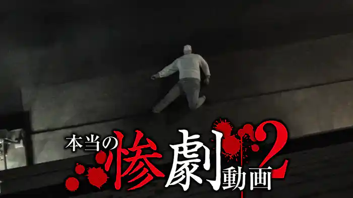 本当の惨劇動画2