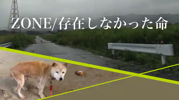 ZONE/存在しなかった命