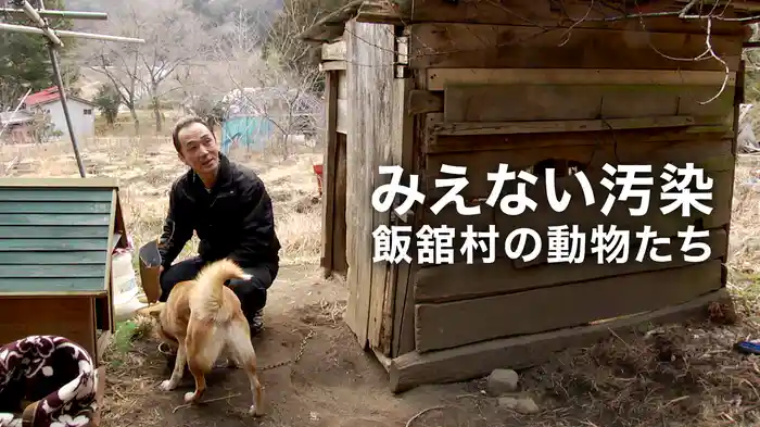 みえない汚染・飯舘村の動物たち