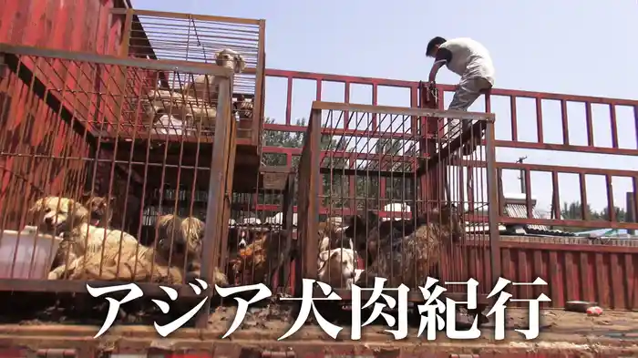 アジア犬肉紀行