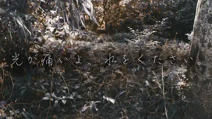 光が痛いよ、水をください。