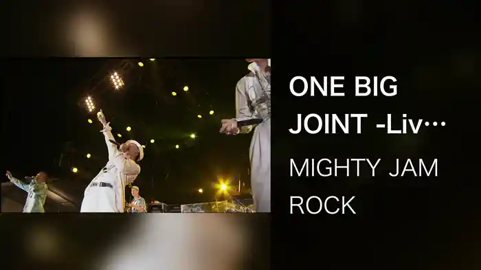 ONE BIG JOINT -Live at HIGHEST MOUNTAIN 2008- (舞洲野外特設会場, 2008/8/2）