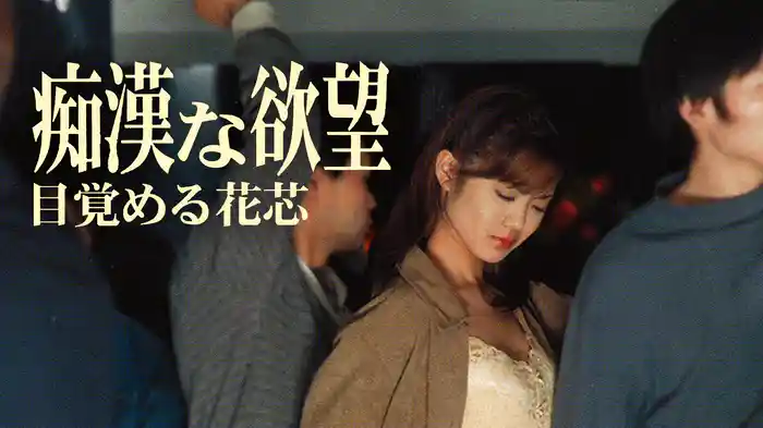 痴漢な欲望　目覚める花芯