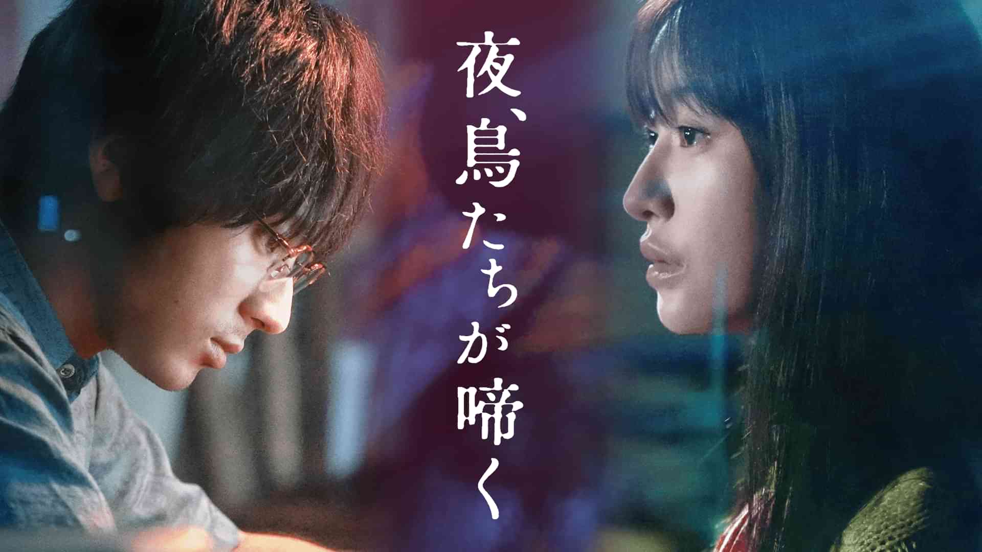 夜、鳥たちが啼く