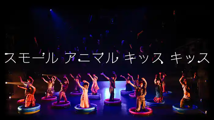スモール アニマル キッス キッス