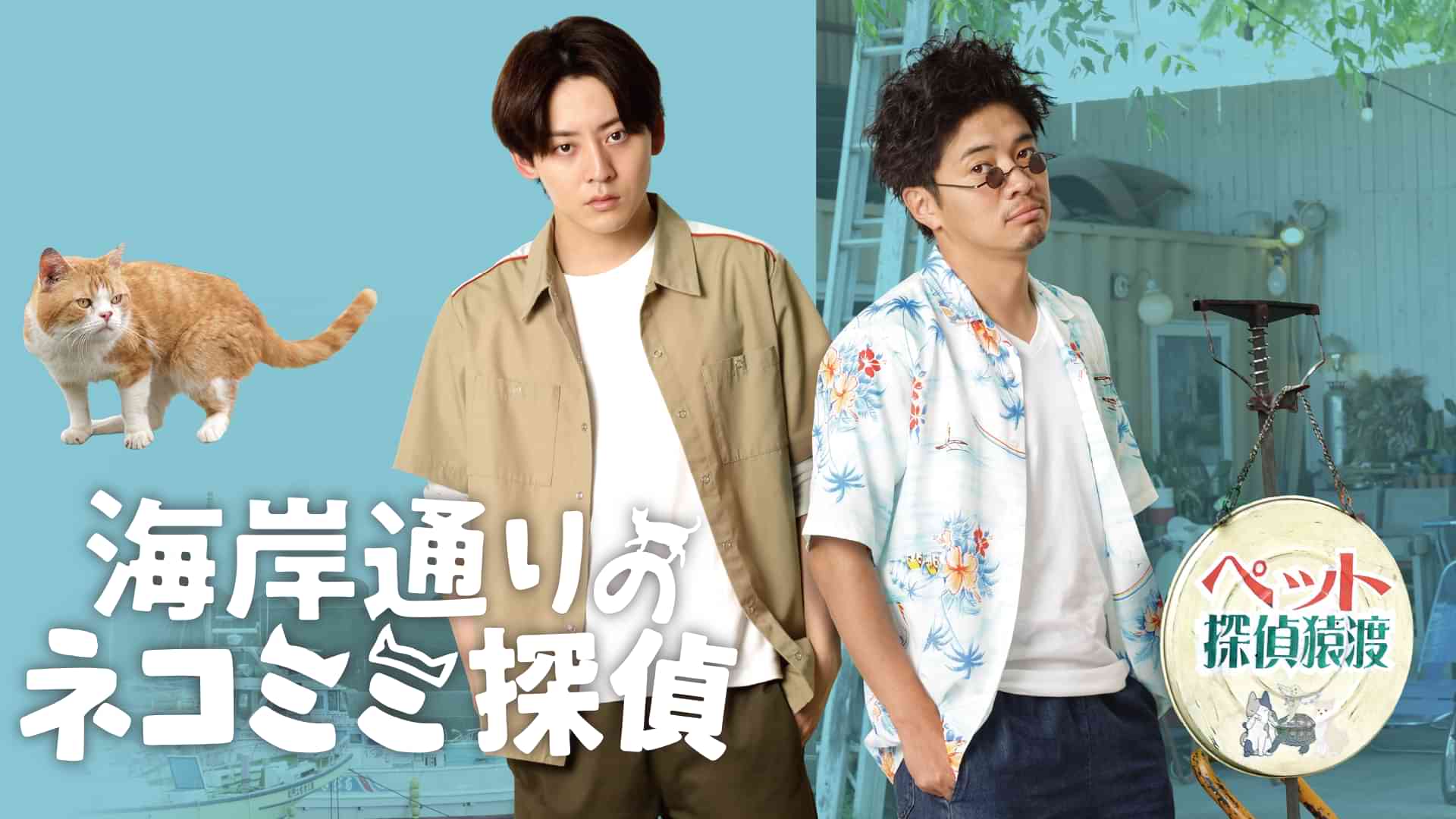 海岸通りのネコミミ探偵