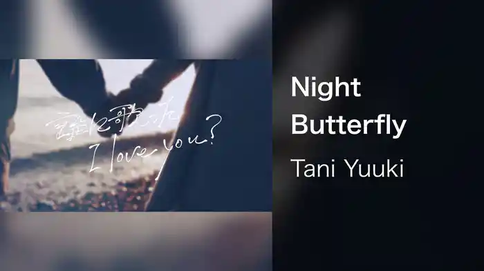 Night Butterfly