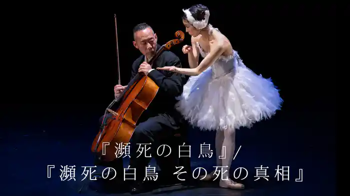 『瀕死の白鳥』 / 『瀕死の白鳥 その死の真相』