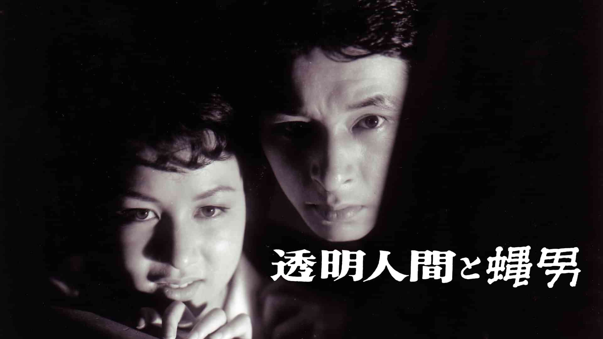 透明人間と蝿男