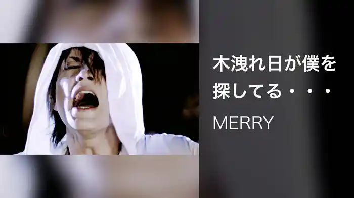 木洩れ日が僕を探してる・・・