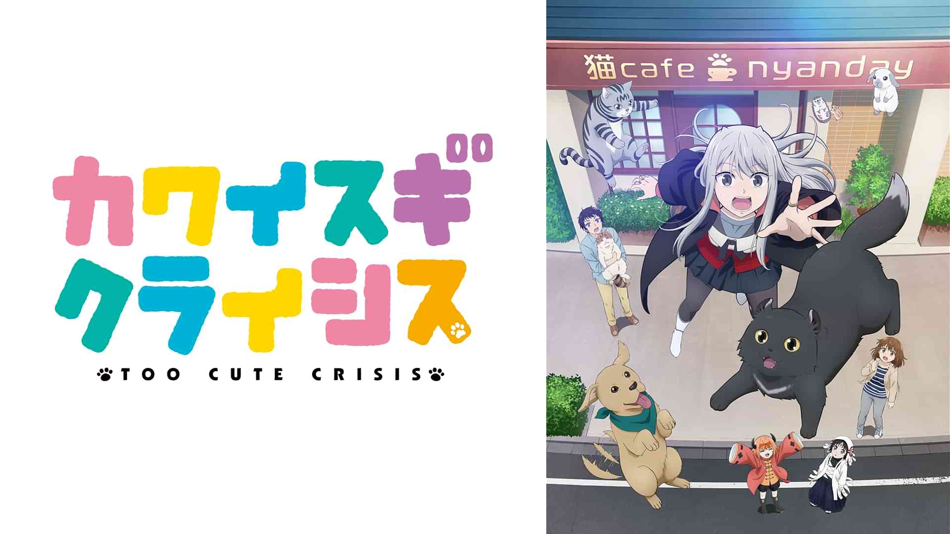 カワイスギクライシス