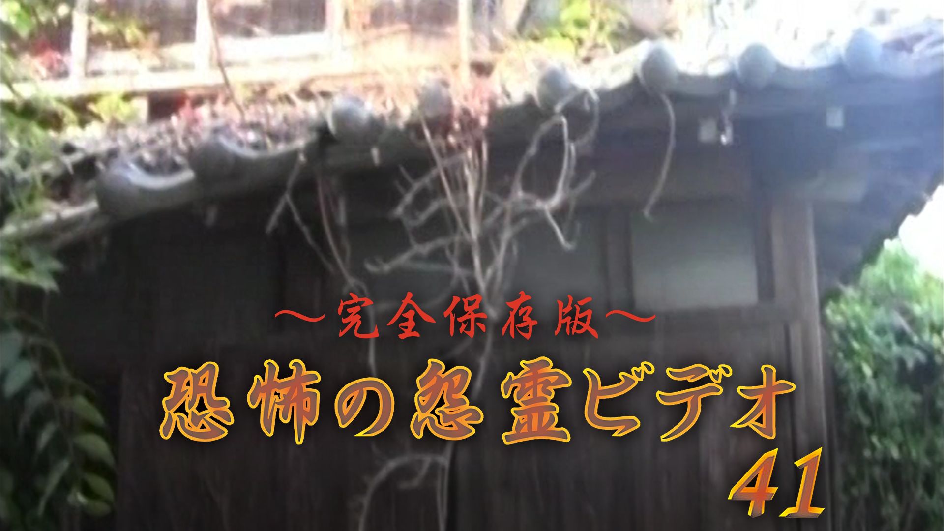 〜完全保存版〜恐怖の怨霊ビデオ41