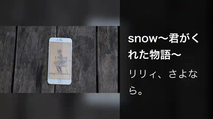 snow～君がくれた物語～