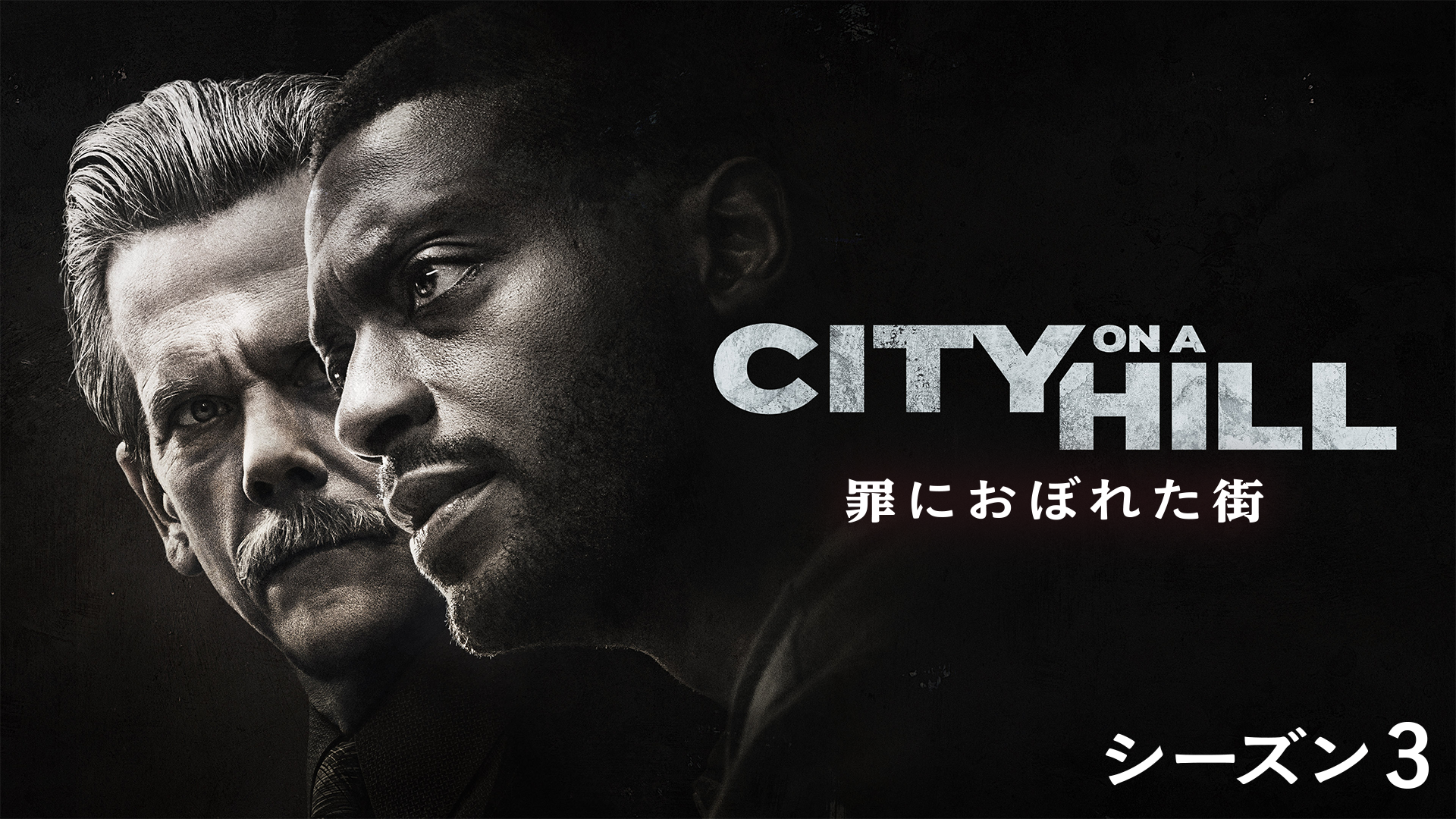 CITY ON A HILL / 罪におぼれた街　シーズン3の画像