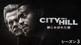 CITY ON A HILL / 罪におぼれた街　シーズン3
