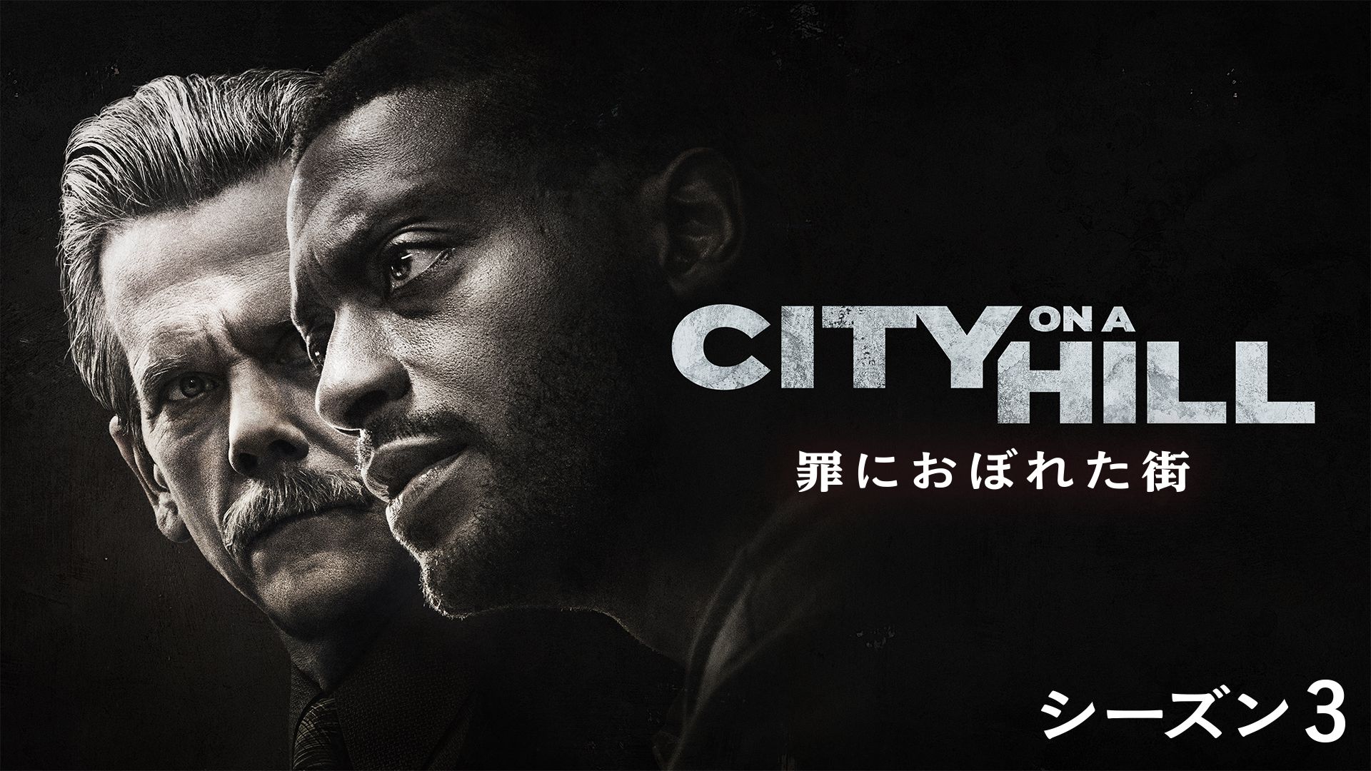 CITY ON A HILL /〜罪におぼれた街 シーズン3