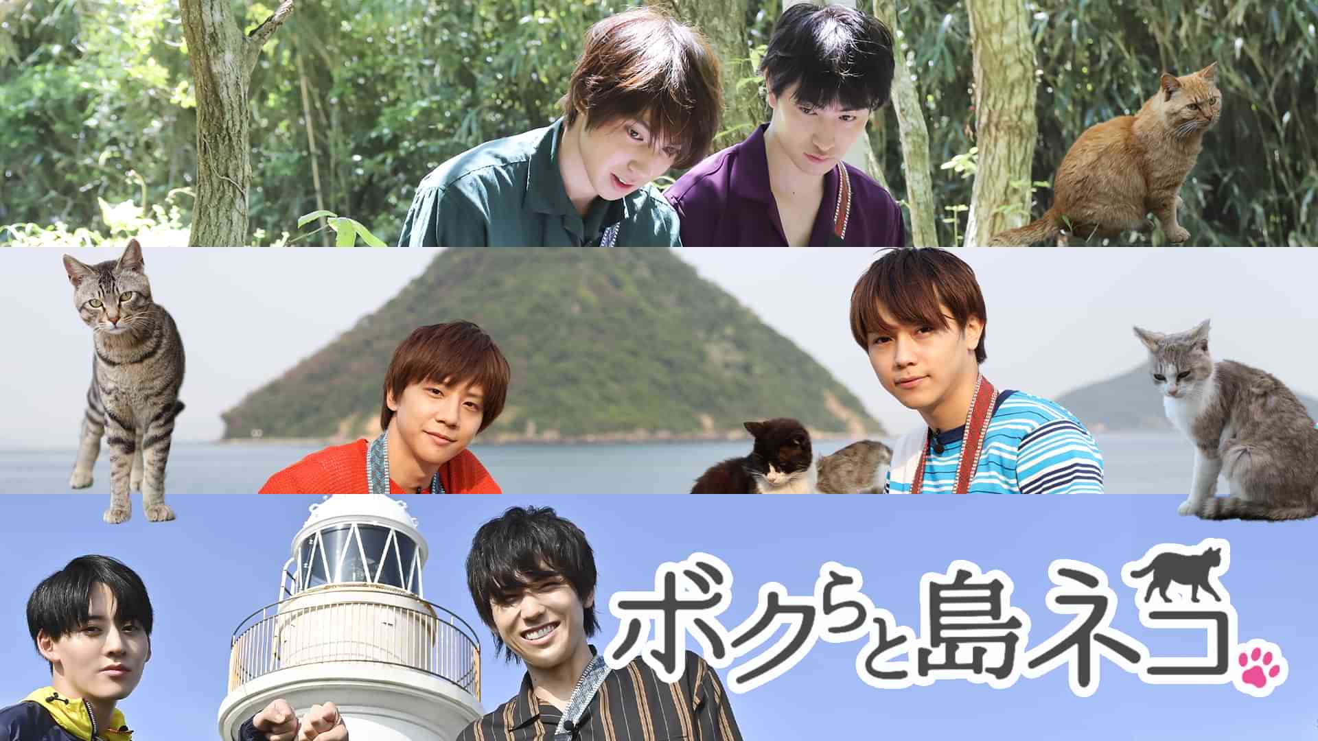 ボクらと島ネコ。