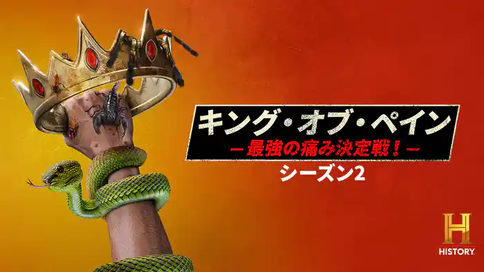 キング・オブ・ペイン -最強の痛み決定戦！- シーズン2