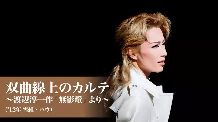 双曲線上のカルテ～渡辺淳一作「無影燈」より～（’12年雪組・バウ）