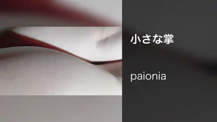小さな掌