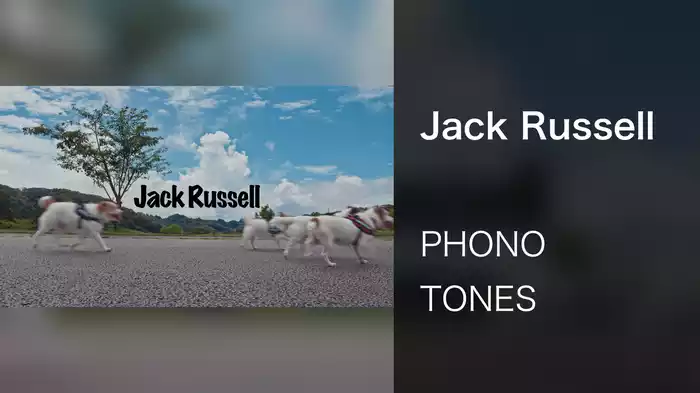 Jack Russell