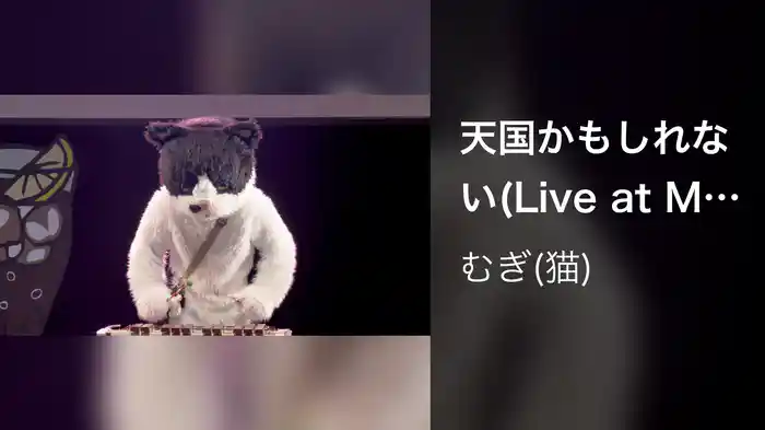 天国かもしれない(Live at Mt.RAINIER HALL SHIBUYA PLEASURE PLEASURE)