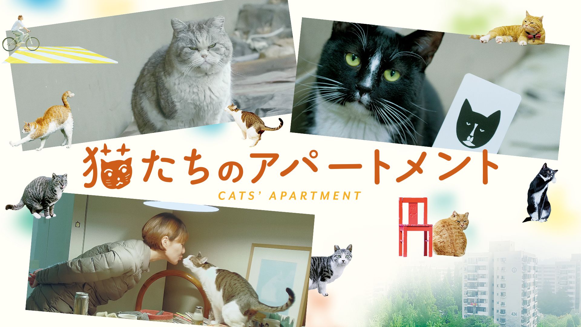 猫たちのアパートメント