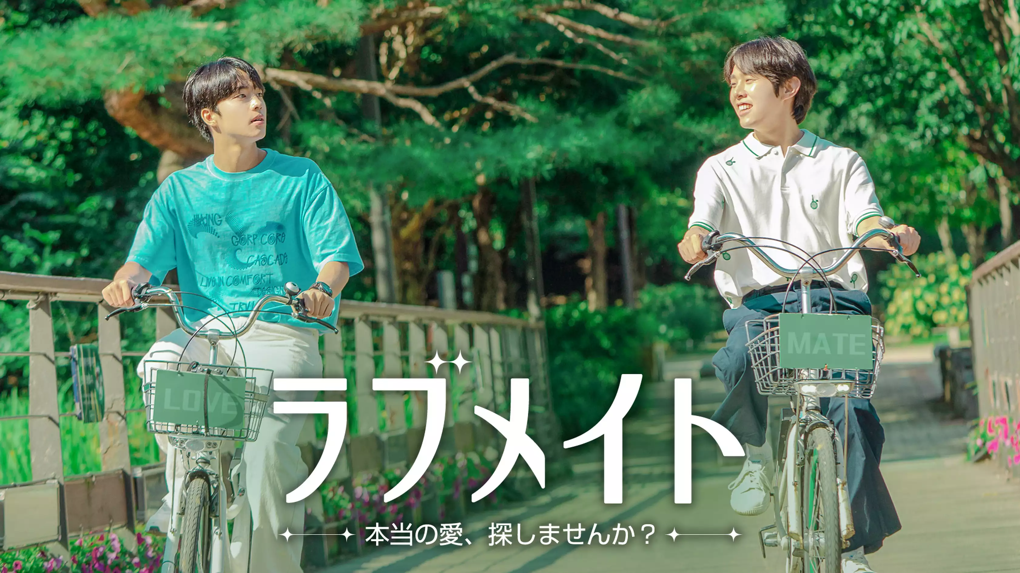 韓国ドラマ『ラブメイト - 本当の愛、探しませんか？-』の日本語字幕版の動画を全話無料で見れる配信アプリまとめ