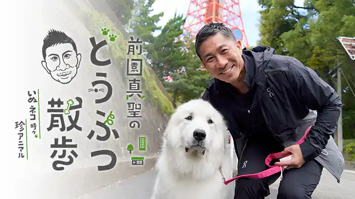 前園真聖のどうぶつ散歩　～いぬネコ時々、珍アニマル～