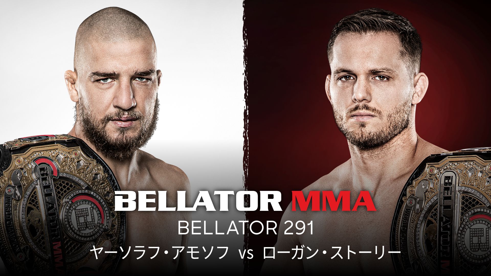 BELLATOR 291