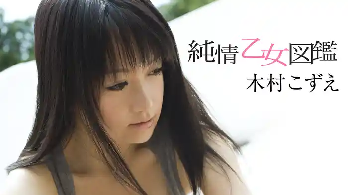 木村こずえ『純情乙女図鑑』