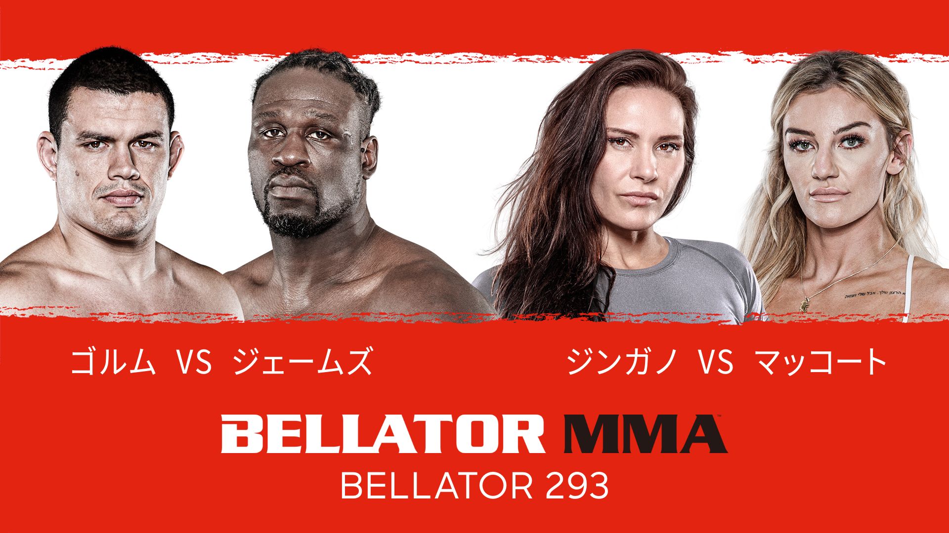 BELLATOR 293