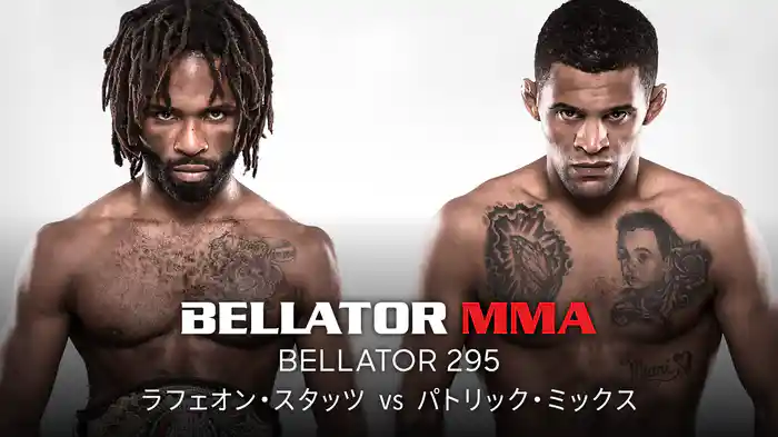 BELLATOR 295