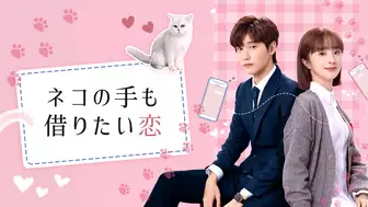 中国ドラマ『ネコの手も借りたい恋』の日本語字幕版の動画を全話無料で見れる配信アプリまとめ