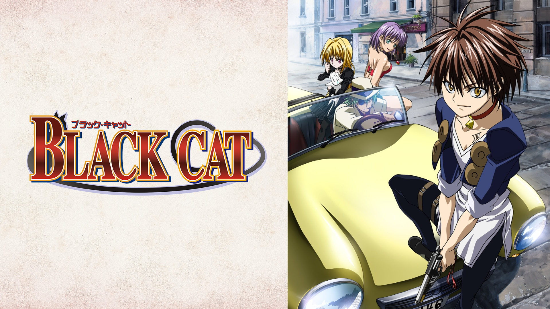 BLACK CAT ブラック・キャット(アニメ / 2005) - 動画配信 | U-NEXT 31