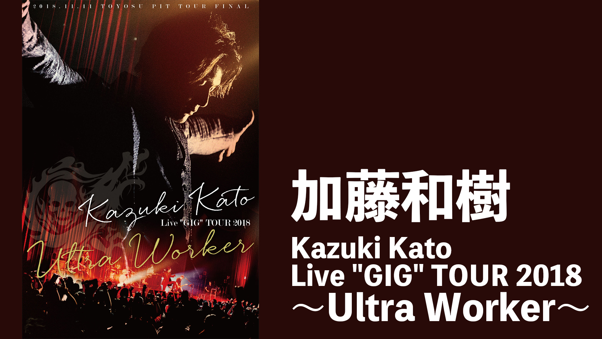 Kazuki Kato Live“GIG”TOUR 2018 ～Ultra Worker～(音楽・アイドル / 2018) - 動画配信 |  U-NEXT 31日間無料トライアル