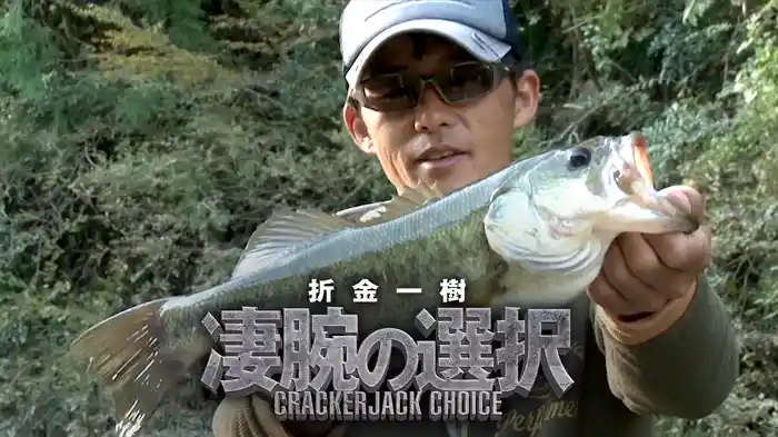 折金一樹 凄腕の選択