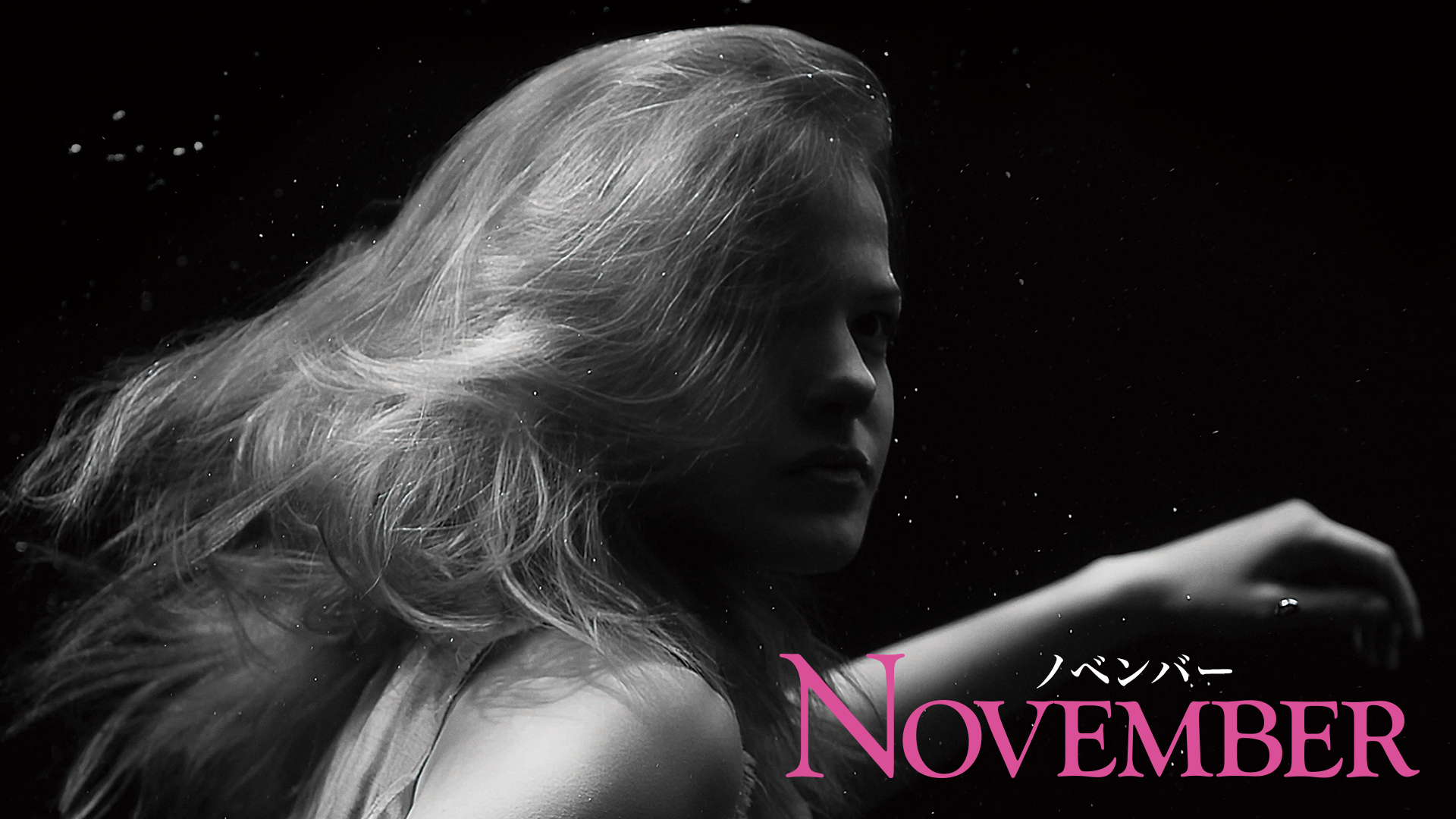 ノベンバーの画像