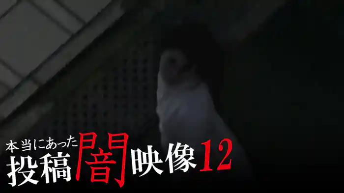 本当にあった　投稿　闇映像12