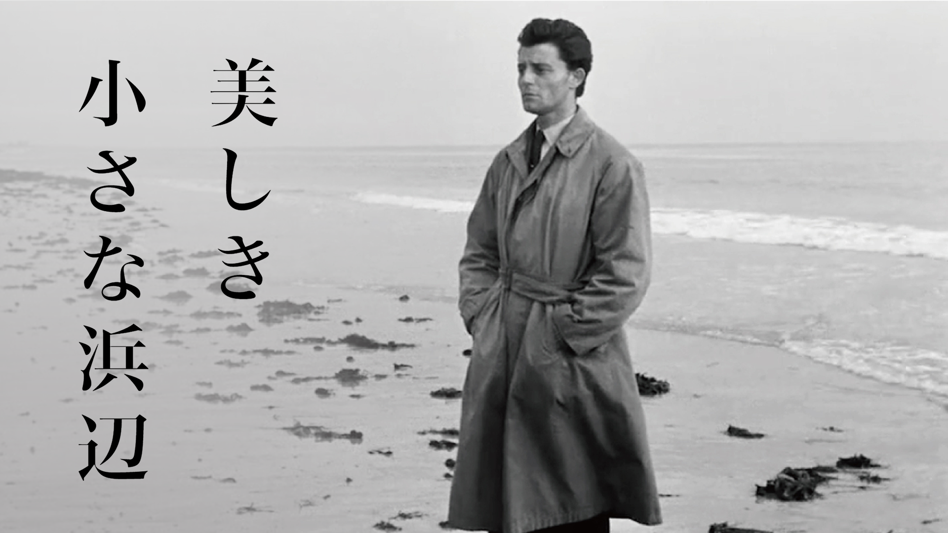 美しき小さな浜辺 - サムネイル